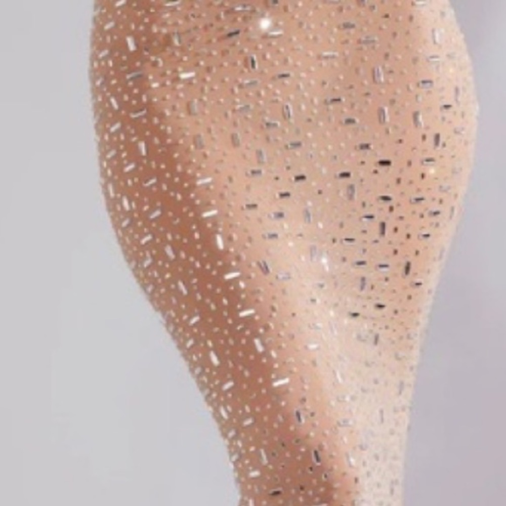 Chiara Sheer Embellished V-Waist Gown Skirt in Almond - Picture 7 of 14